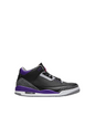 Jordan 3 Court Purple